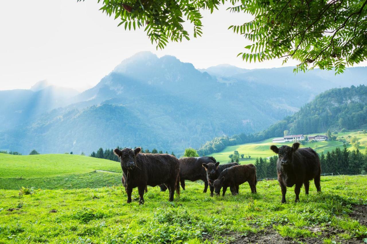 Pension Christoph Kramsach Exteriér fotografie